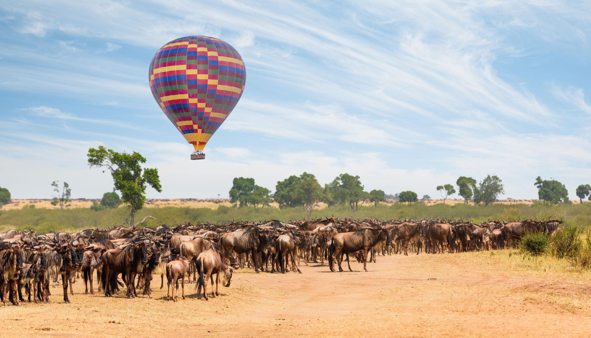 Kenya Sky Safari Experience