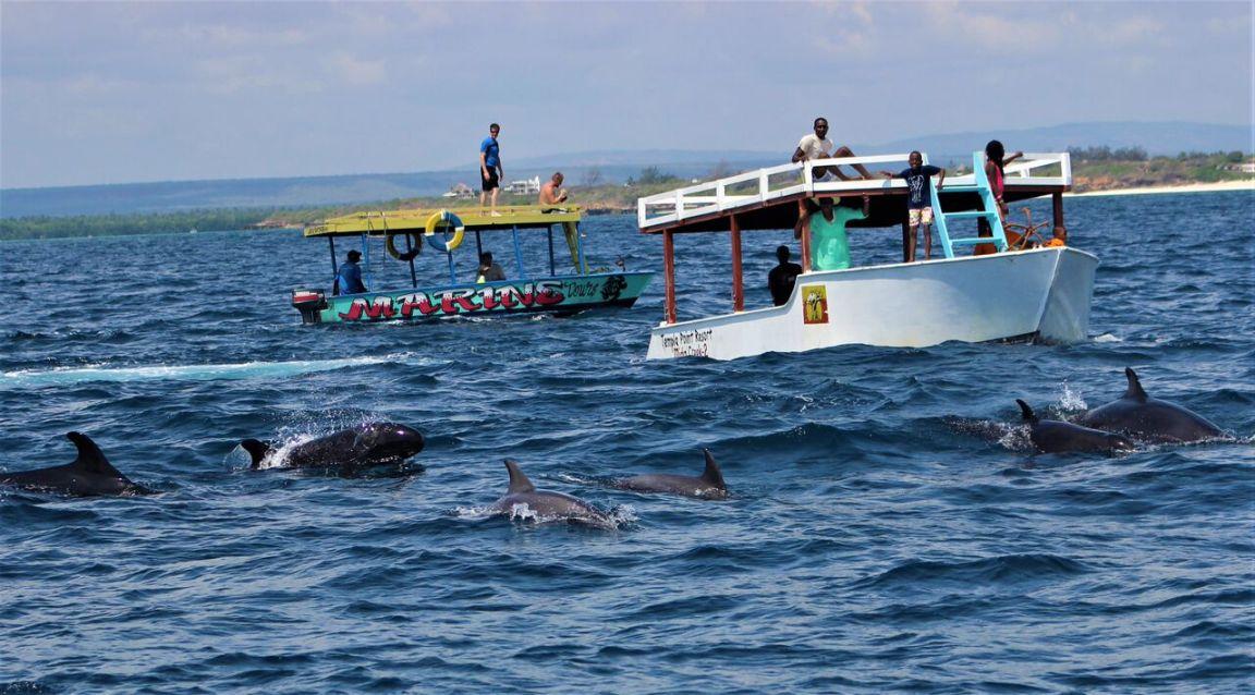 Kenya Coastal Paradise Escape