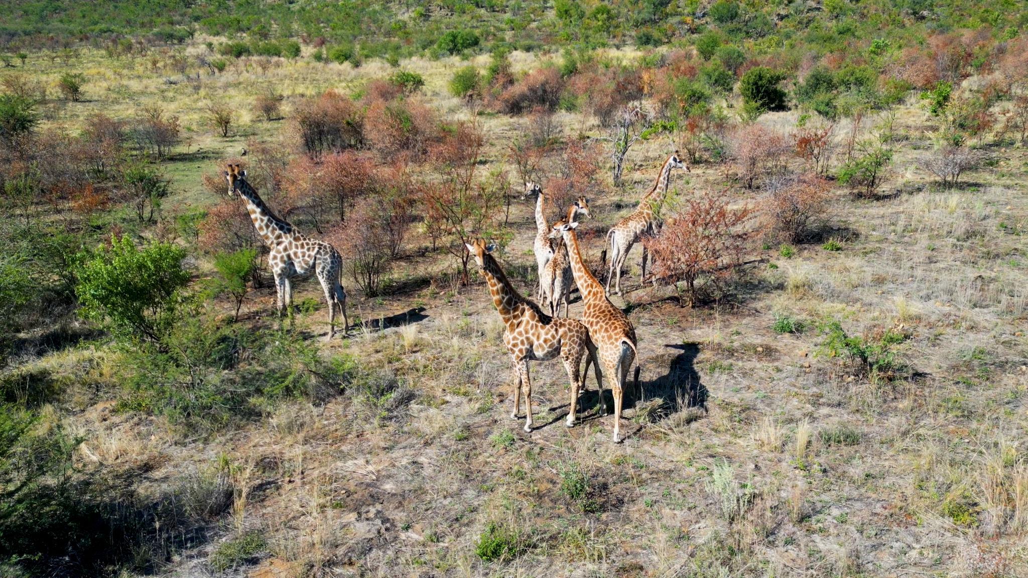 Tanzania – The Land of Endless Wonders