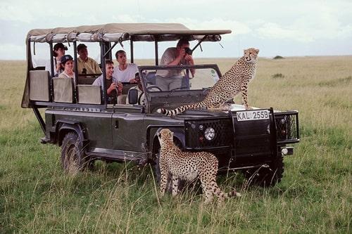 Kenya Ultimate Big Five Safari Expedition